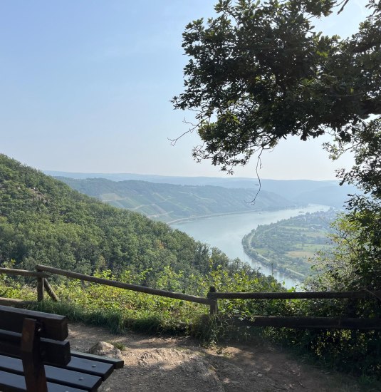 Frühlingswanderung | © Frau Dresen Frühlingswanderung | © Frau Dresen