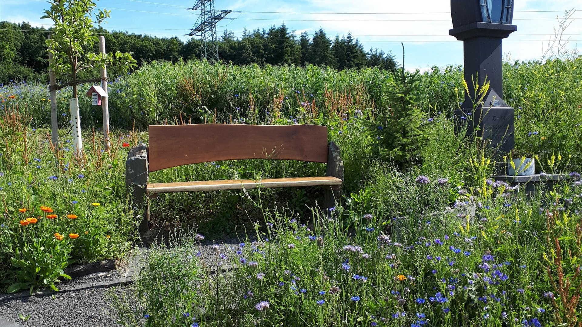 Bildstock | © G. Liesenfeld Bildstock | © G. Liesenfeld