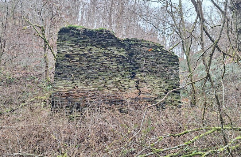 Mühlenruine an der Rauschenburg | © T. Biersch