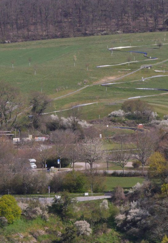 Sommerrodelbahn auf dem Loreleyplateau | &copy; Bernhard Vogt