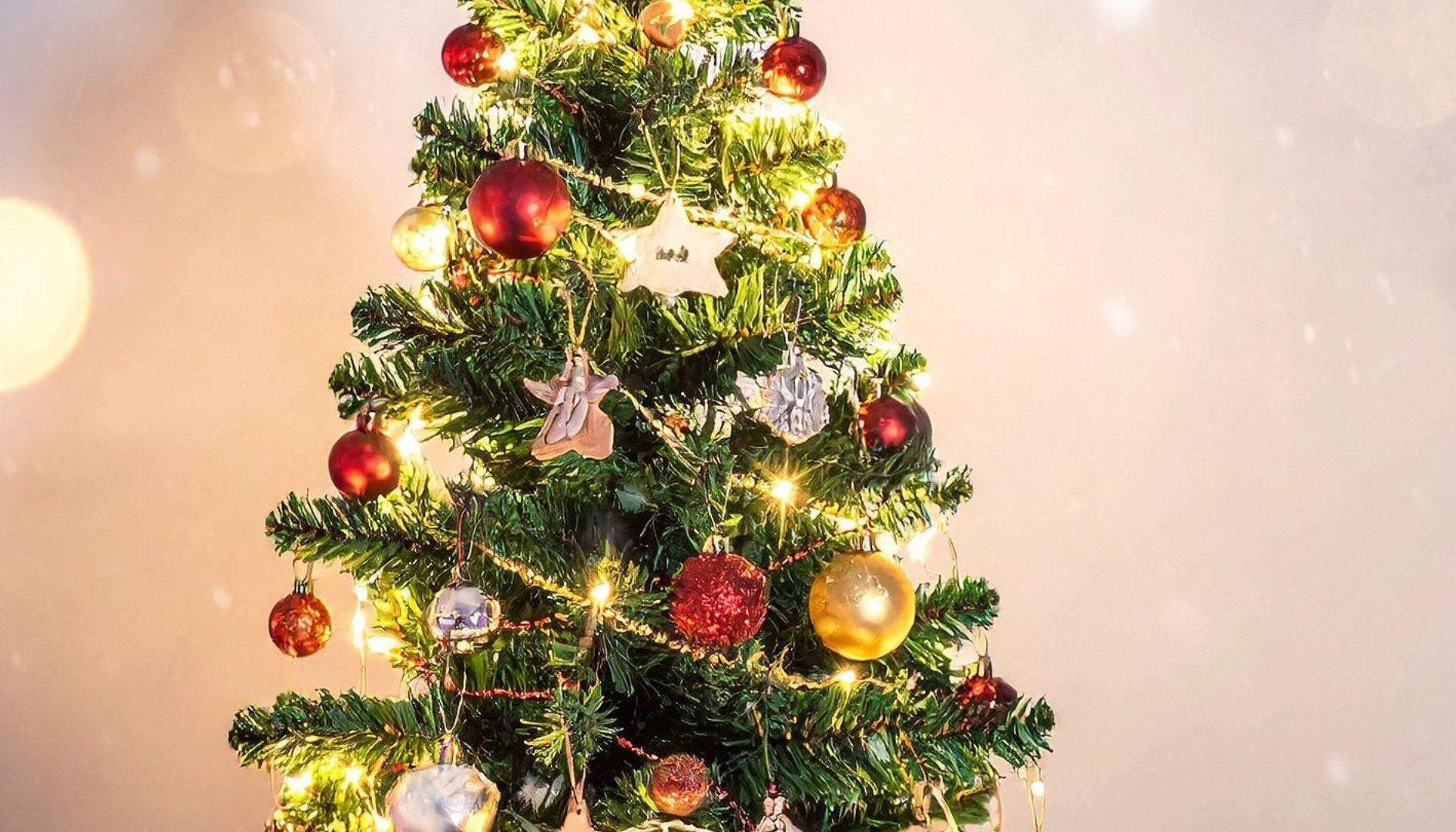 Canva Weihnachtsbaum | &copy; Canva TI Hunsr&uuml;ck-Mittelrhein