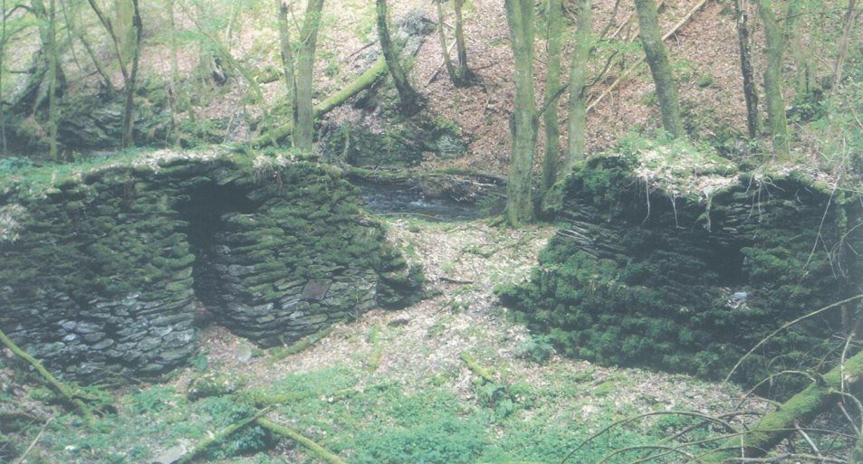 Ruine  Reizenm&uuml;hle | &copy; T. Biersch