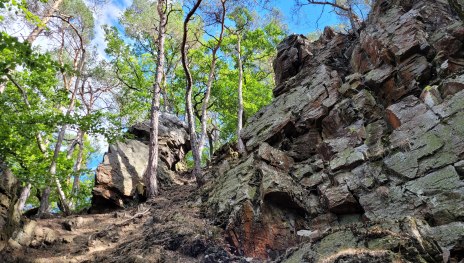 Fels von unten. Im Hang B&auml;ume mit blauem Himmel als Hintergrund | &copy; Elke Bender