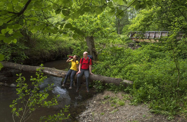 Perdskimbel Baumstamm | &copy; Wanderb&uuml;ro Saar-Hunsr&uuml;ck - Klaus-Peter Kappest