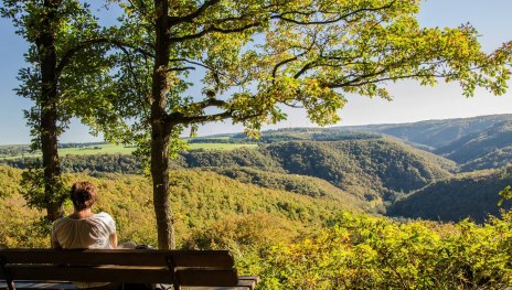 Traumschleife Murscher Eselsche und SHS Etappe 22 - Baybachblick | &copy; Elke Bitzer