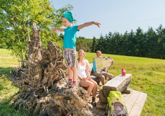 Stahlesel - Wurzelbank | &copy; RPT - Dominik Ketz