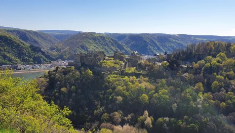 Blick aufs Mittelrheintal | © T. Biersch