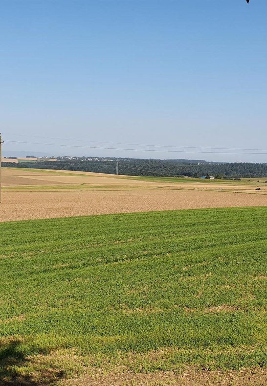 Aussicht von der Bank | © TI Hunsrück-Mittelrhein
