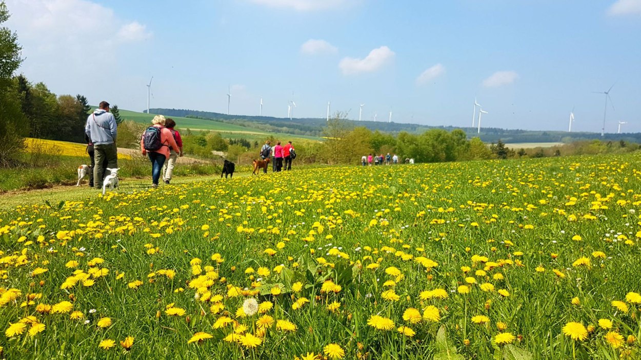Wanderer auf dem Traumschleifchen Baybachquellen | © Ti Hunsrück-Mittelrhein