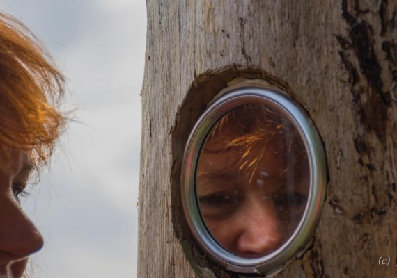 Spiegel am Baum | &copy; E. Bitzer