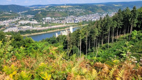 Blick auf Rhein und Stolzenfels | © TI Hunsrück-Mittelrhein Blick auf Rhein und Stolzenfels | © TI Hunsrück-Mittelrhein