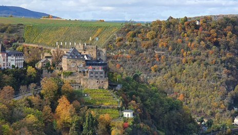 Rheinfels von Richtung Werlau  | © TI Hunsrück-Mittelrhein