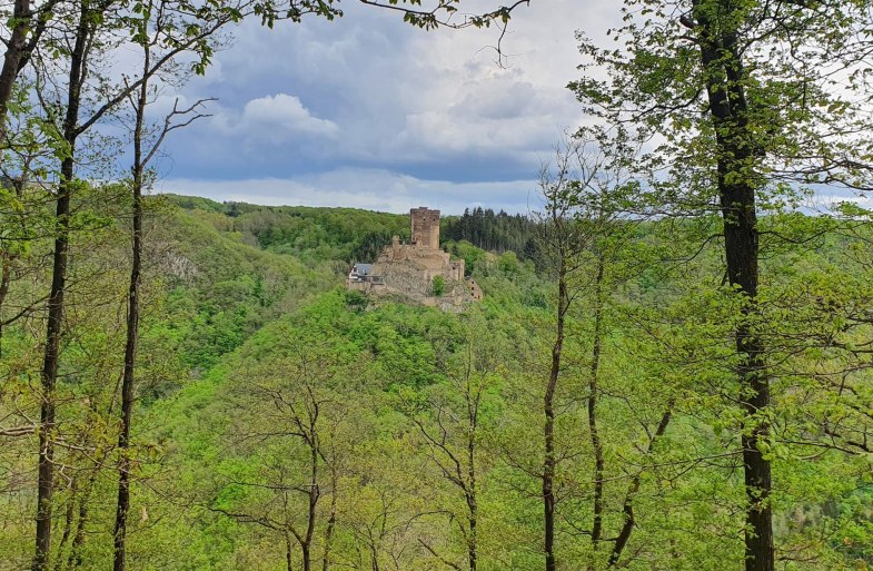 Ehrenburgblick | © T. Biersch