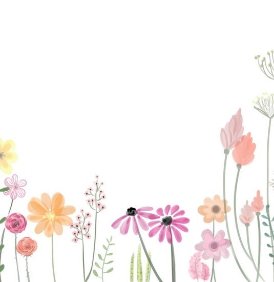 Boppard bl&uuml;ht auf | &copy; Tourist Information