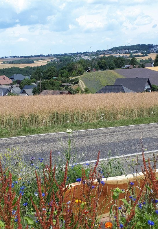 Fernsicht Ruhebank am Bildstock | © G. Liesenfeld Fernsicht Ruhebank am Bildstock | © G. Liesenfeld