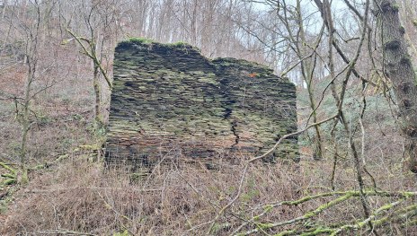 M&uuml;hlenruine an der Rauschenburg | &copy; T. Biersch
