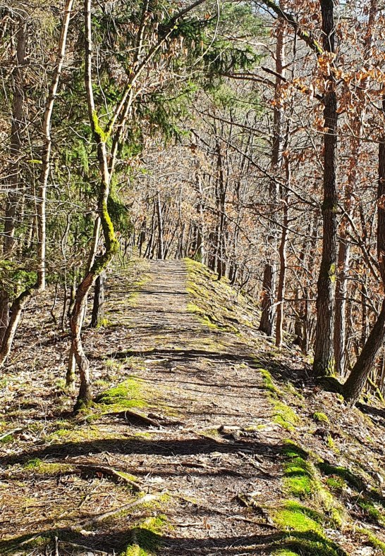 Haaks K&ouml;ppche- | &copy; T. Biersch