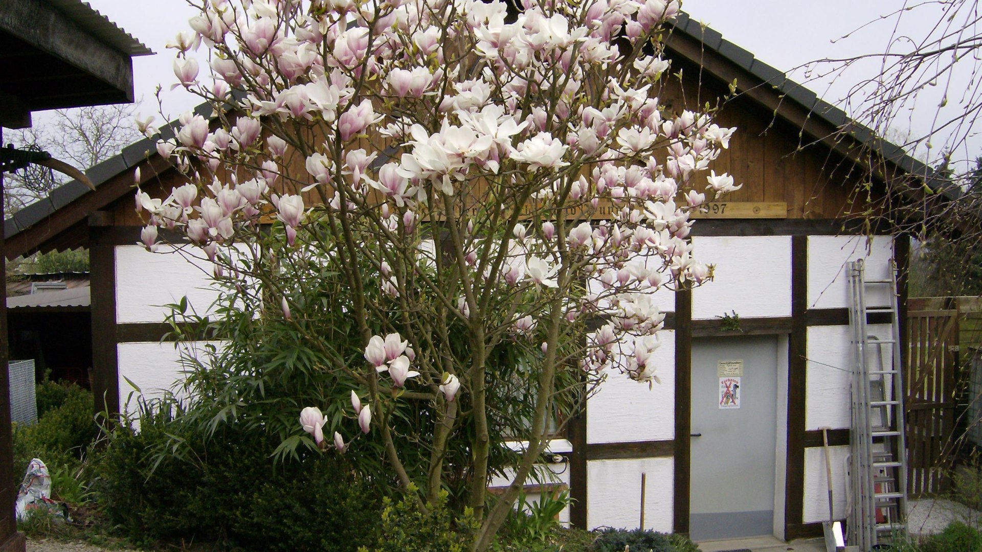 Intasienmuseum Eingang | © C. Schmeisser
