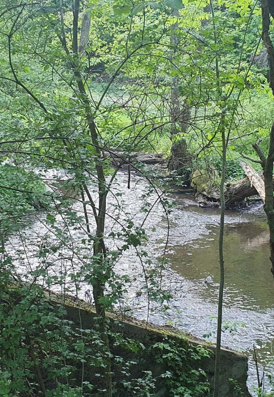 Baybach | © T. Biersch