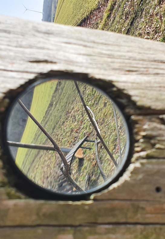 Feld im Spiegel | © T. Biersch