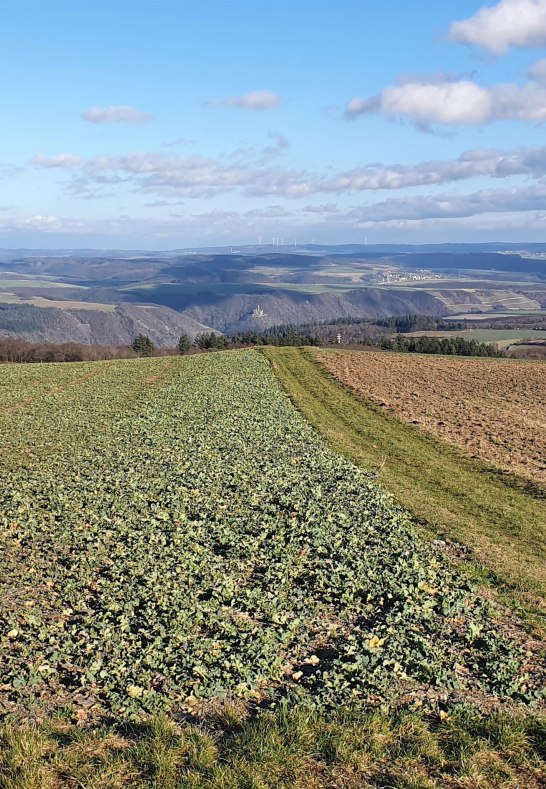 Fernsicht am 5 Burgenblick | &copy; T. Biersch