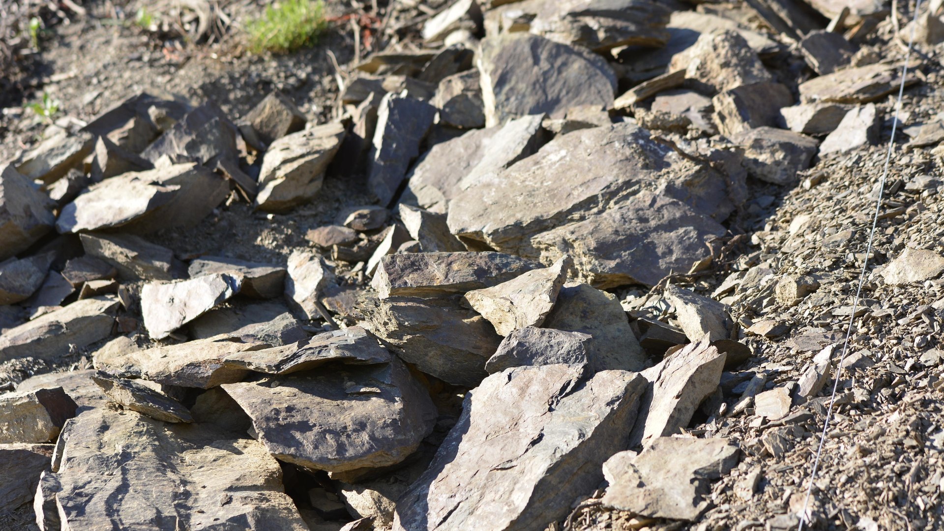Schiefer & Würze | © Weingut Toni Lorenz Schiefer & Würze | © Weingut Toni Lorenz