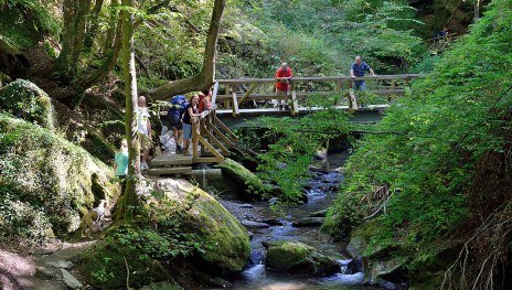 Brücke mit Personen und Hund in der Ehrbachklamm | © Jürgen Kläser