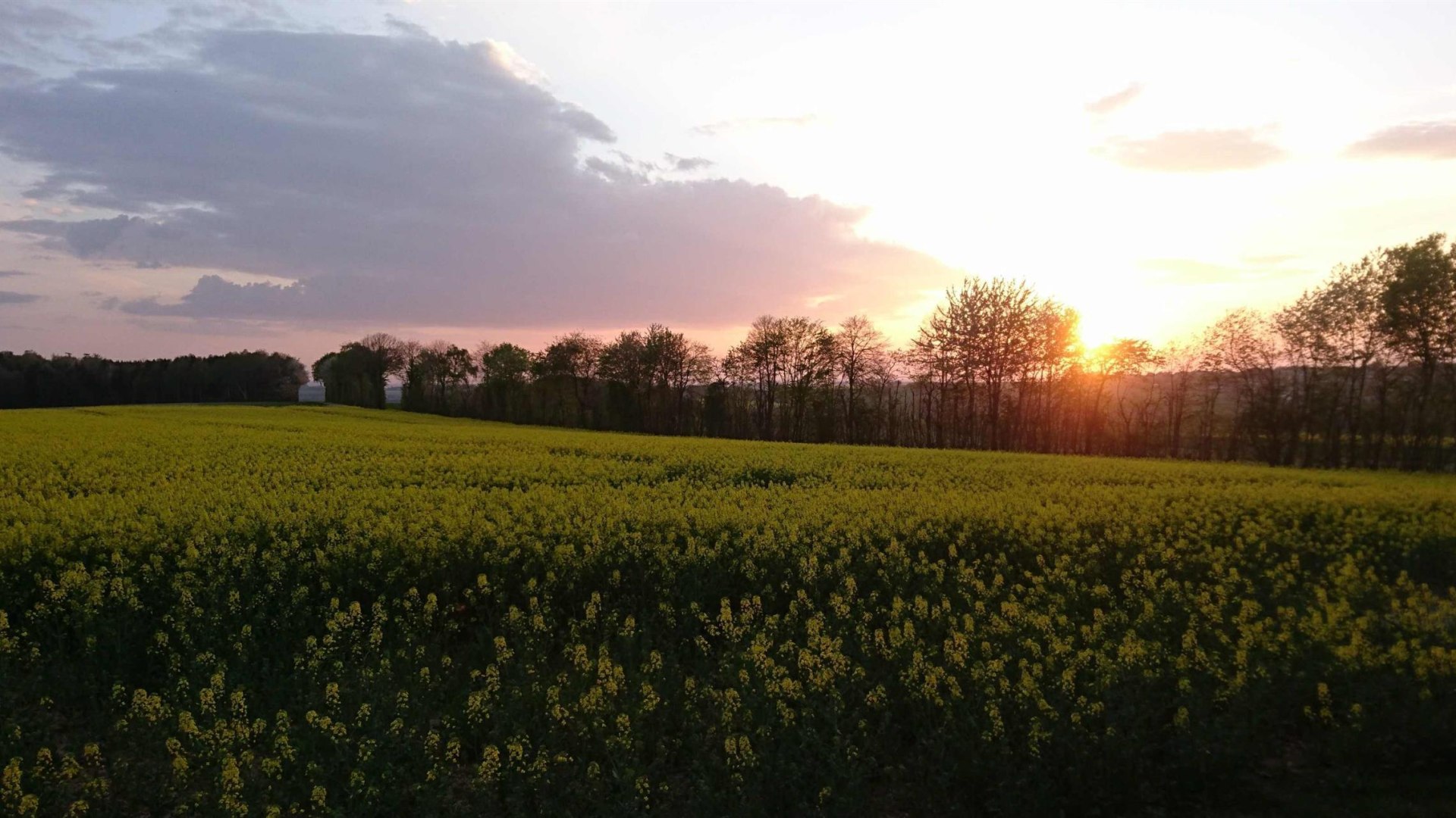 Abendstimmung | © B. Vogt