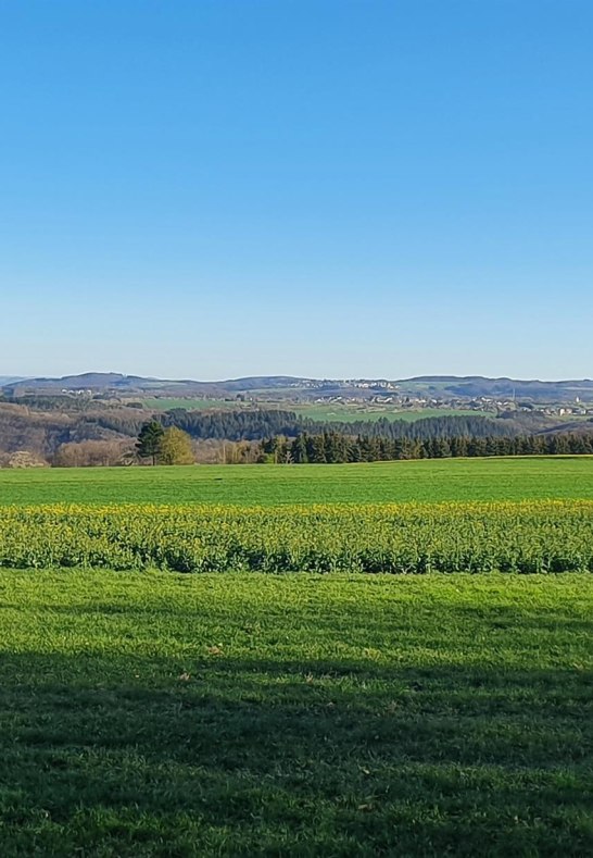 Eifelblick Mermuth | &copy; T. Biersch