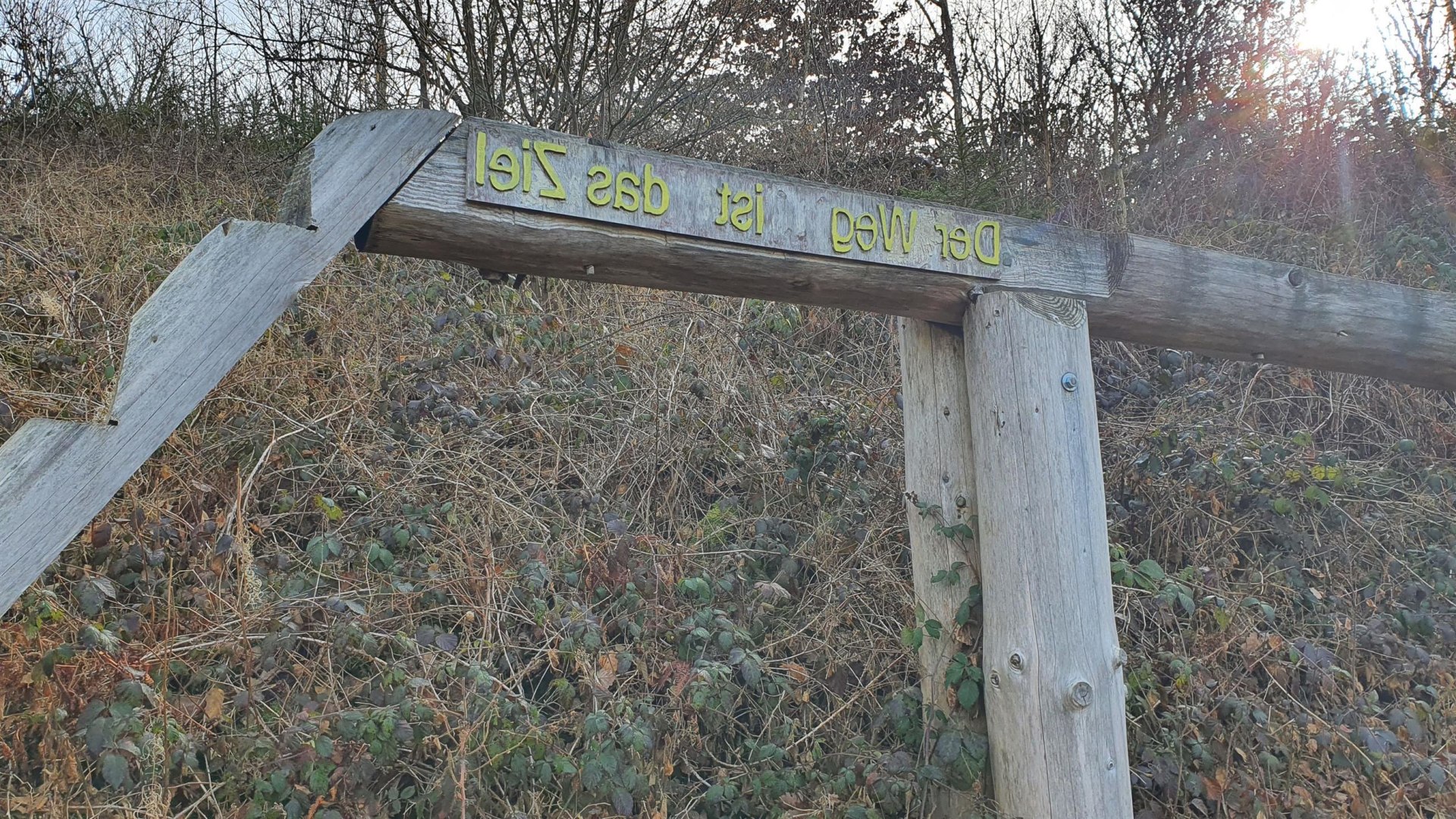 Der Weg ist das Ziel | © T. Biersch