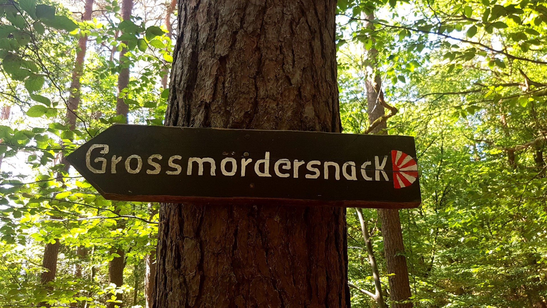 zum Gro&szlig;m&ouml;dersnack | &copy; T. Biersch