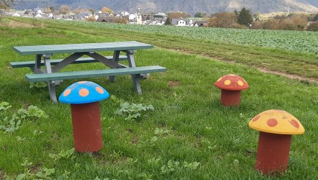 Picknickbank mit Taunusblick | &copy; T. Biersch