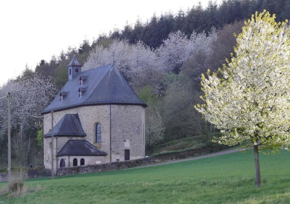 St. Quintin im Frühling | © B. Vogt St. Quintin im Frühling | © B. Vogt