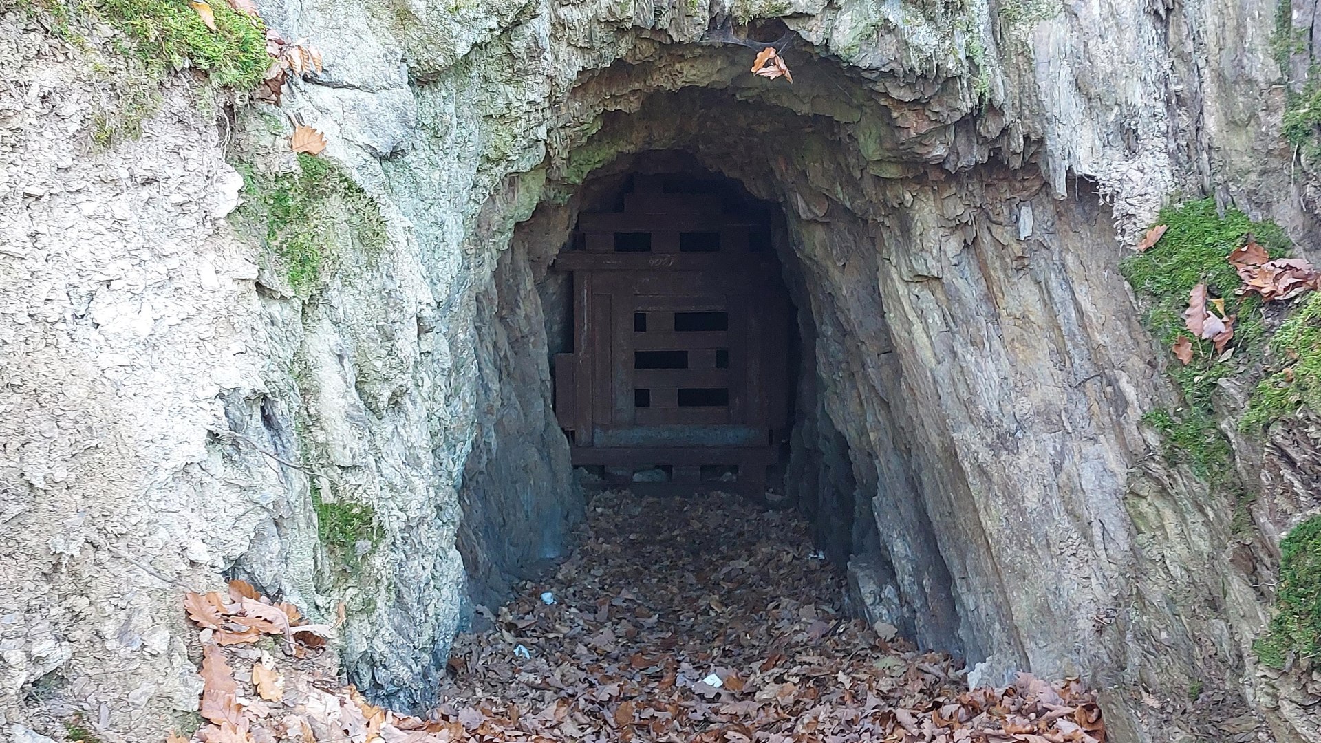 Eingang Grube | &copy; T. Biersch