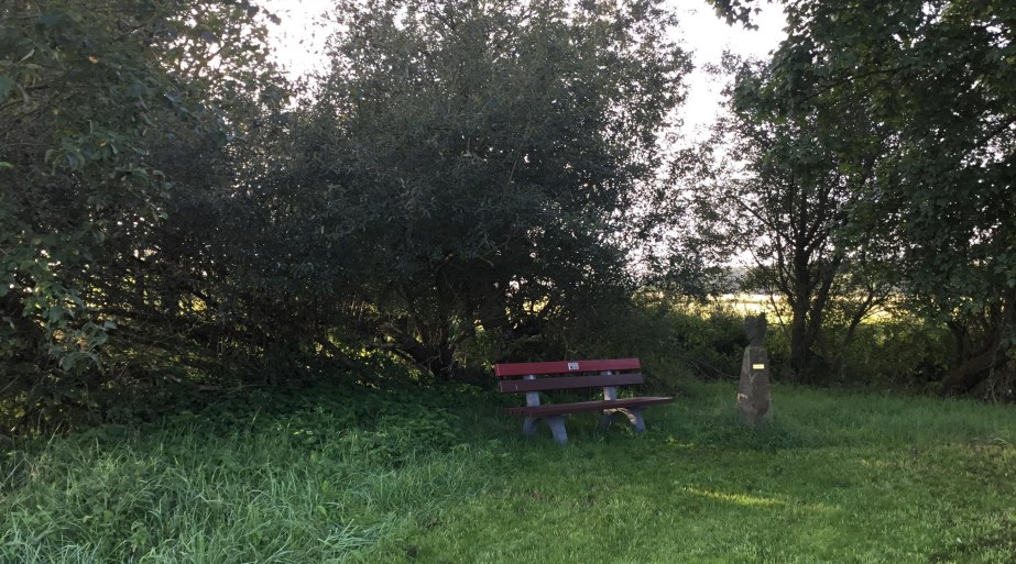 Ruhebank am Biotop | © Michael Rach Ruhebank am Biotop | © Michael Rach