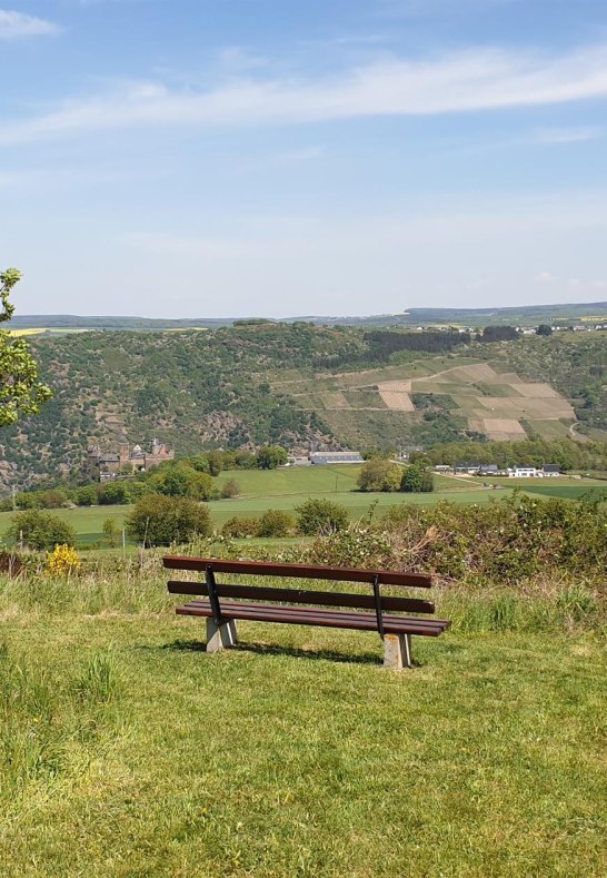 Sch&ouml;nburgblick 3 | &copy; Tourist-Information Oberwesel