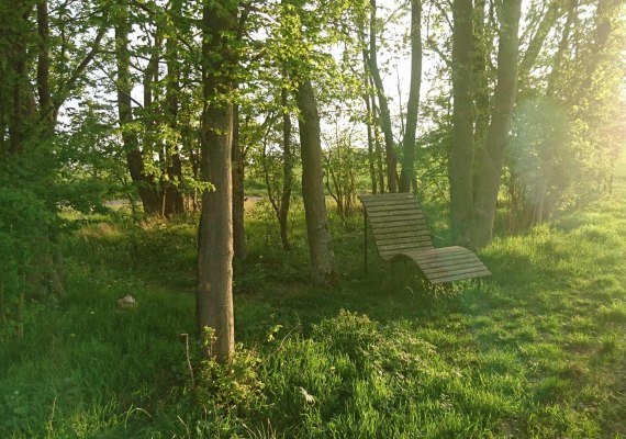 Am Ehrbachblick | &copy; B. Vogt