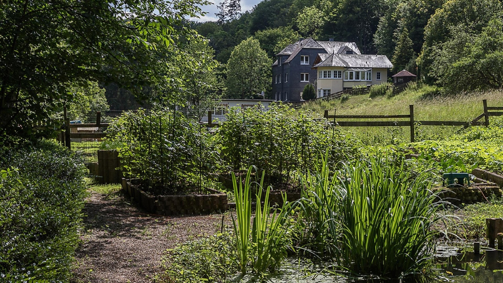 M&uuml;hlenansicht | &copy; Fam. Kochem