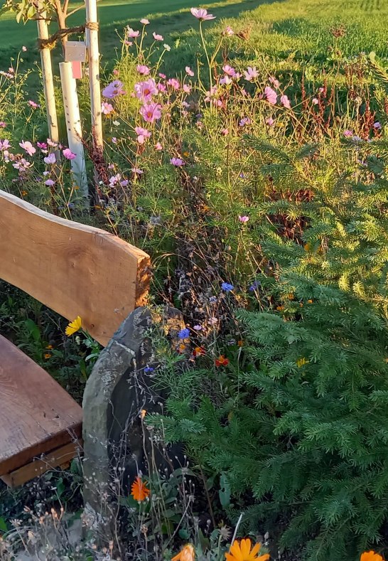 Ruhebank am Bildstock | © C. Vogt Ruhebank am Bildstock | © C. Vogt