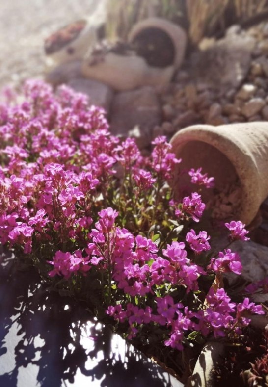 Deko | &copy; Karin Weber