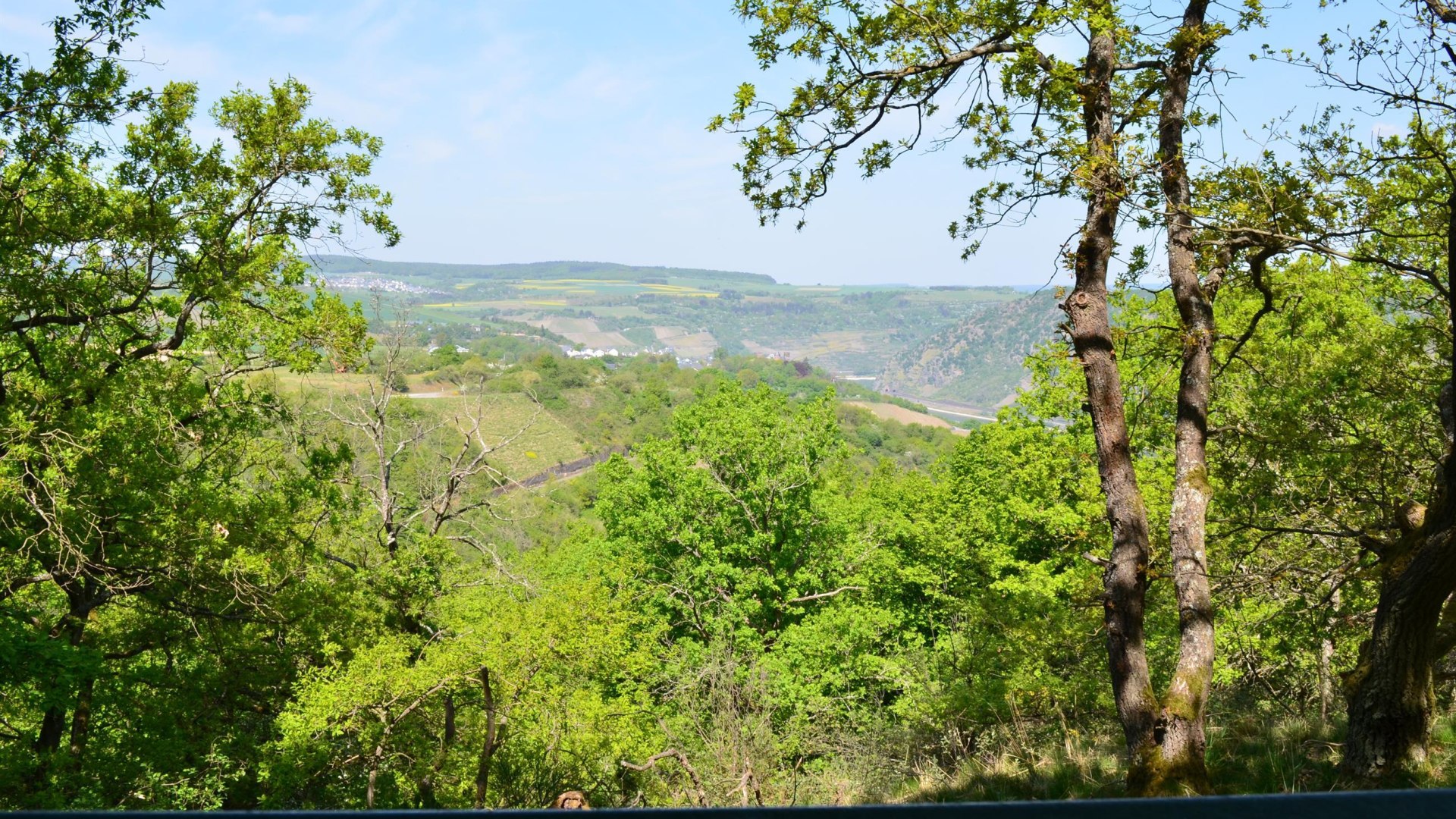 Hinnerbeil | &copy; Tourist-Information Oberwesel
