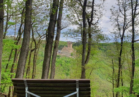Ruhebank mit Ehrenburgblick | &copy; T. Biersch
