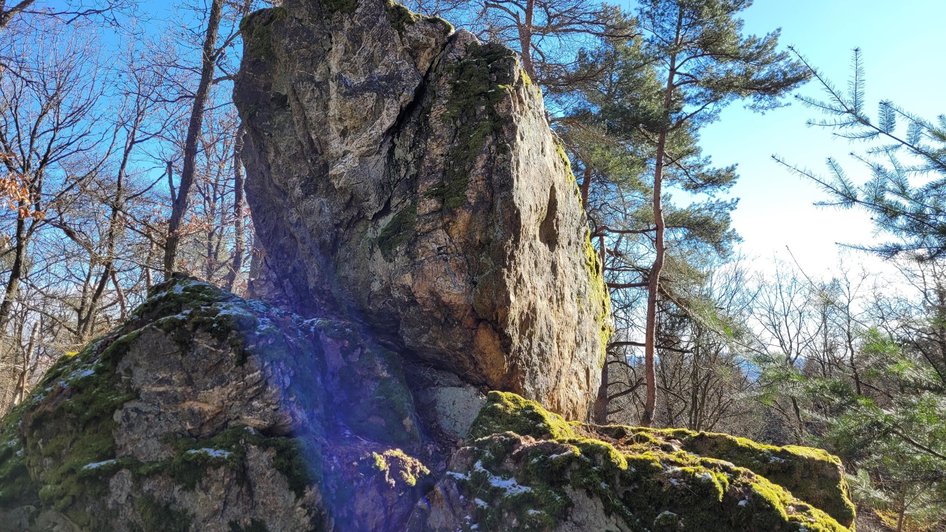 Kuckucksnacks | &copy; E. Bender