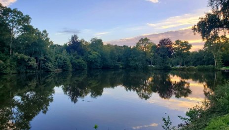 Abendsonne am See | &copy; M. Nick