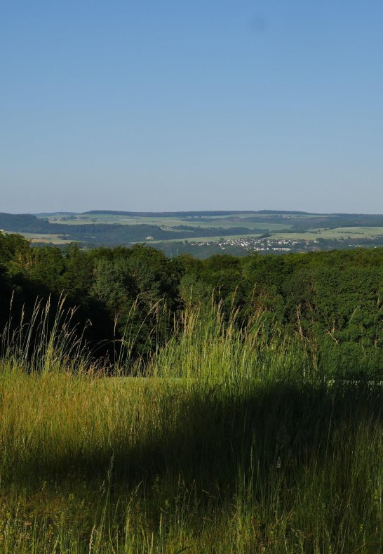 Taunusblick an der Boxlayh&uuml;tte | &copy; B. Vogt