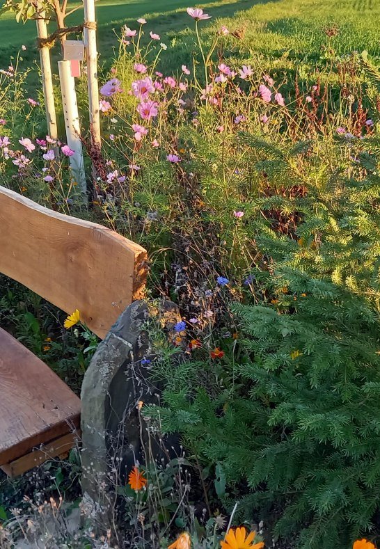 Ruhebank am Bildstock | &copy; C. Vogt