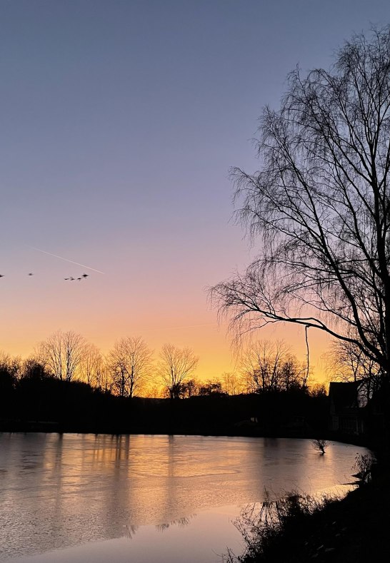Sonnenuntergang | &copy; M. Nick