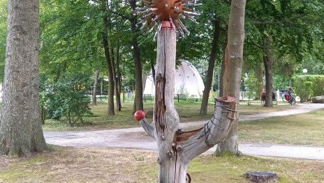 Coronabaum im Park | &copy; C. Vogt