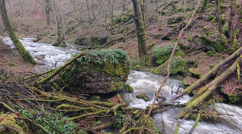 Steinrausch im Baybachtal | © T. Biersch