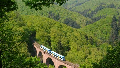 Hunsr&uuml;ckbahn Hubertusviadukt